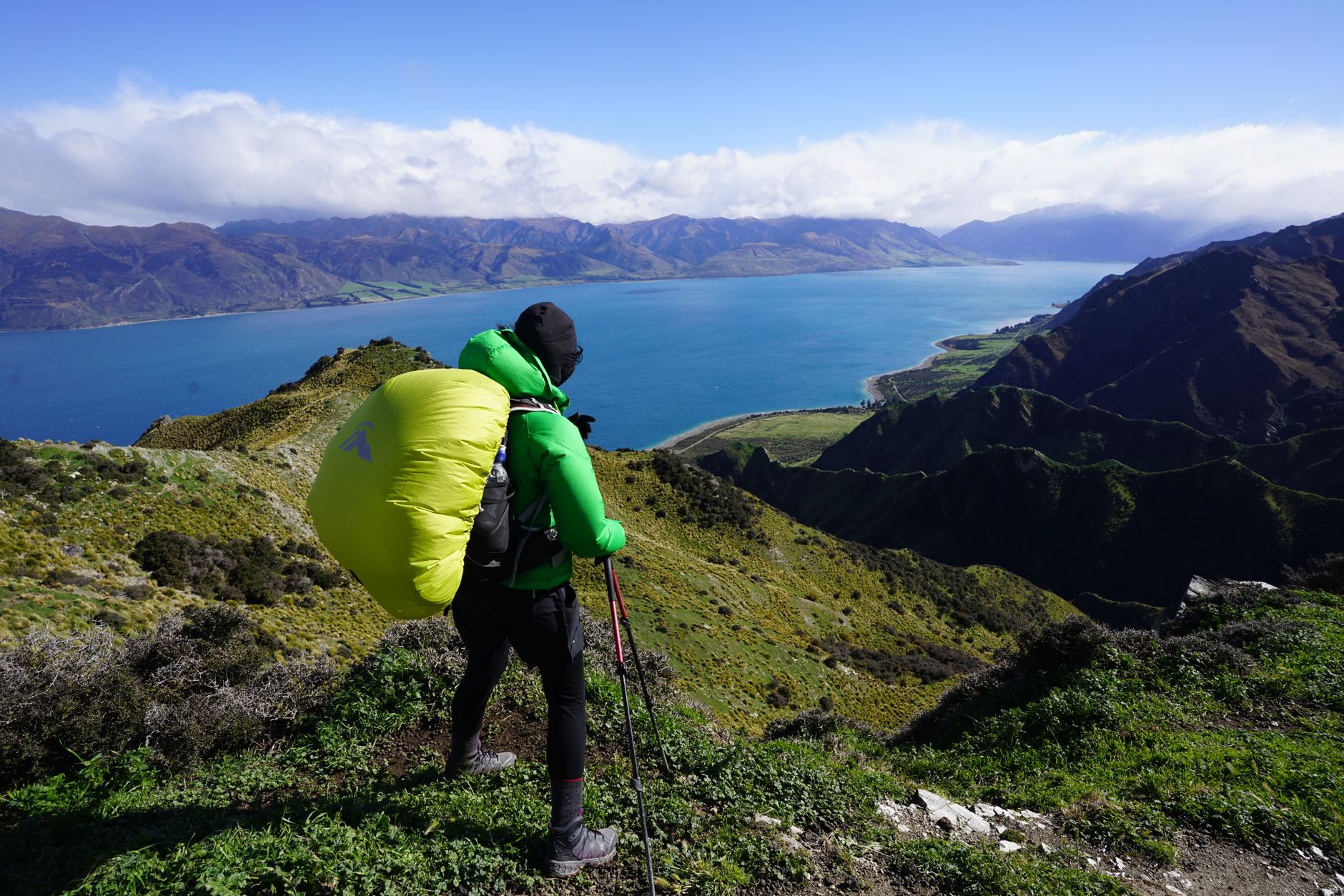 New Zealand hiking guide on alpine ridge
